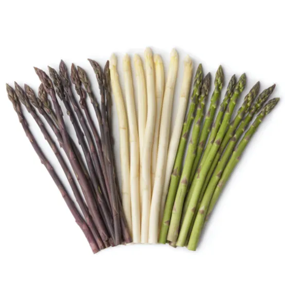 Asparagus