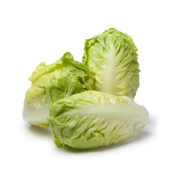 Baby Gem Lettuce