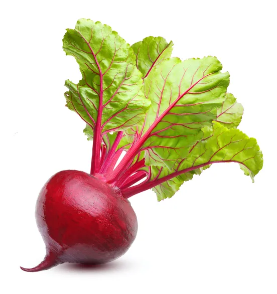 Beets