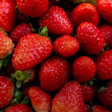 Fruit