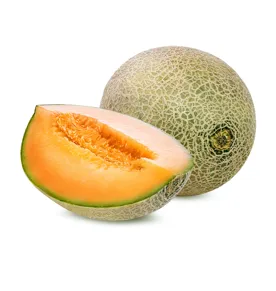 Melon