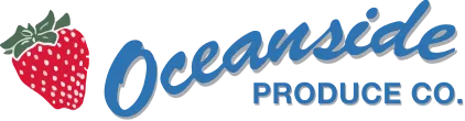 Oceanside Header & Footer Logo