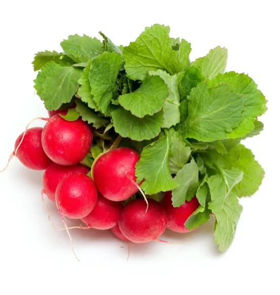 Radishes