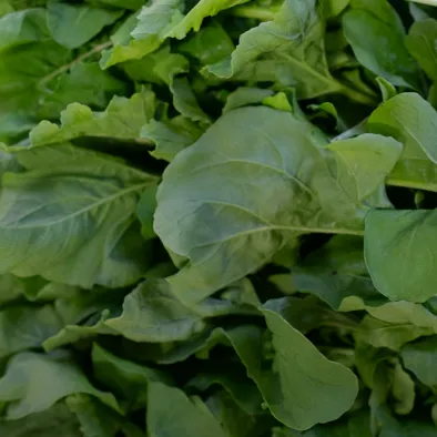 Specialty Produce