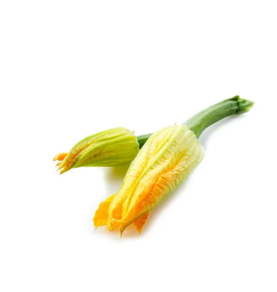 Squash Blossoms