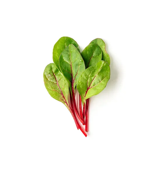 baby-beets