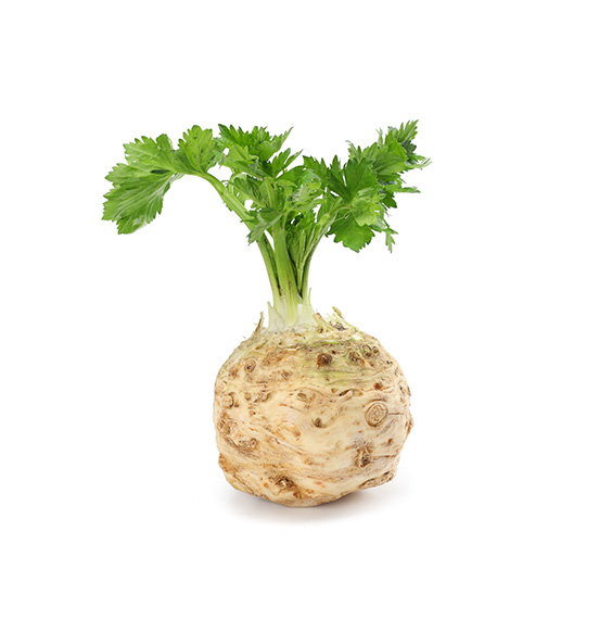 celery-root