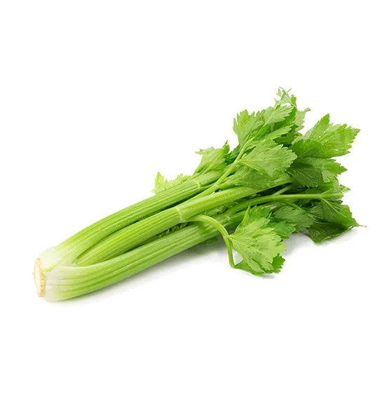 celery