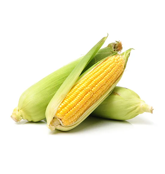 corn