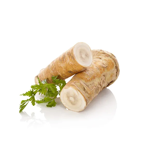 horseradish