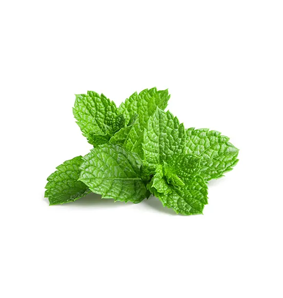 micro-mint