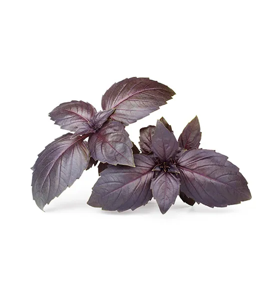 micro-opal-basil