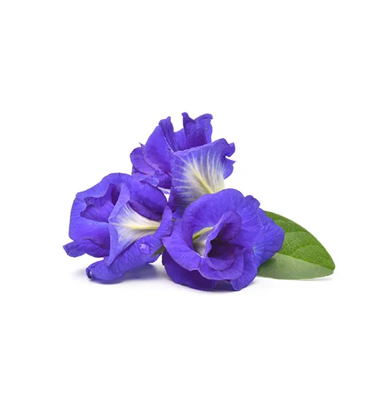 pea-flowers