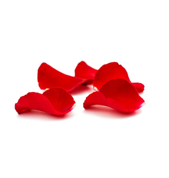 rose-petals